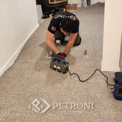 Carpet Instalation Petroni Flooring